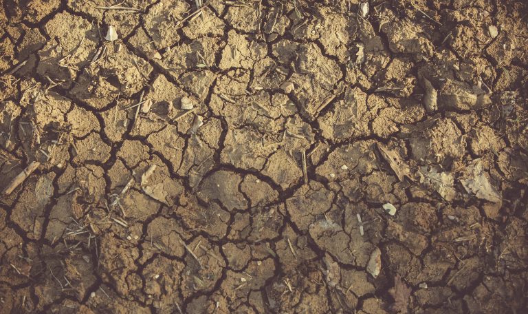 Aufgerissener, trockener Boden als Folge von Desertifikation in Namibia