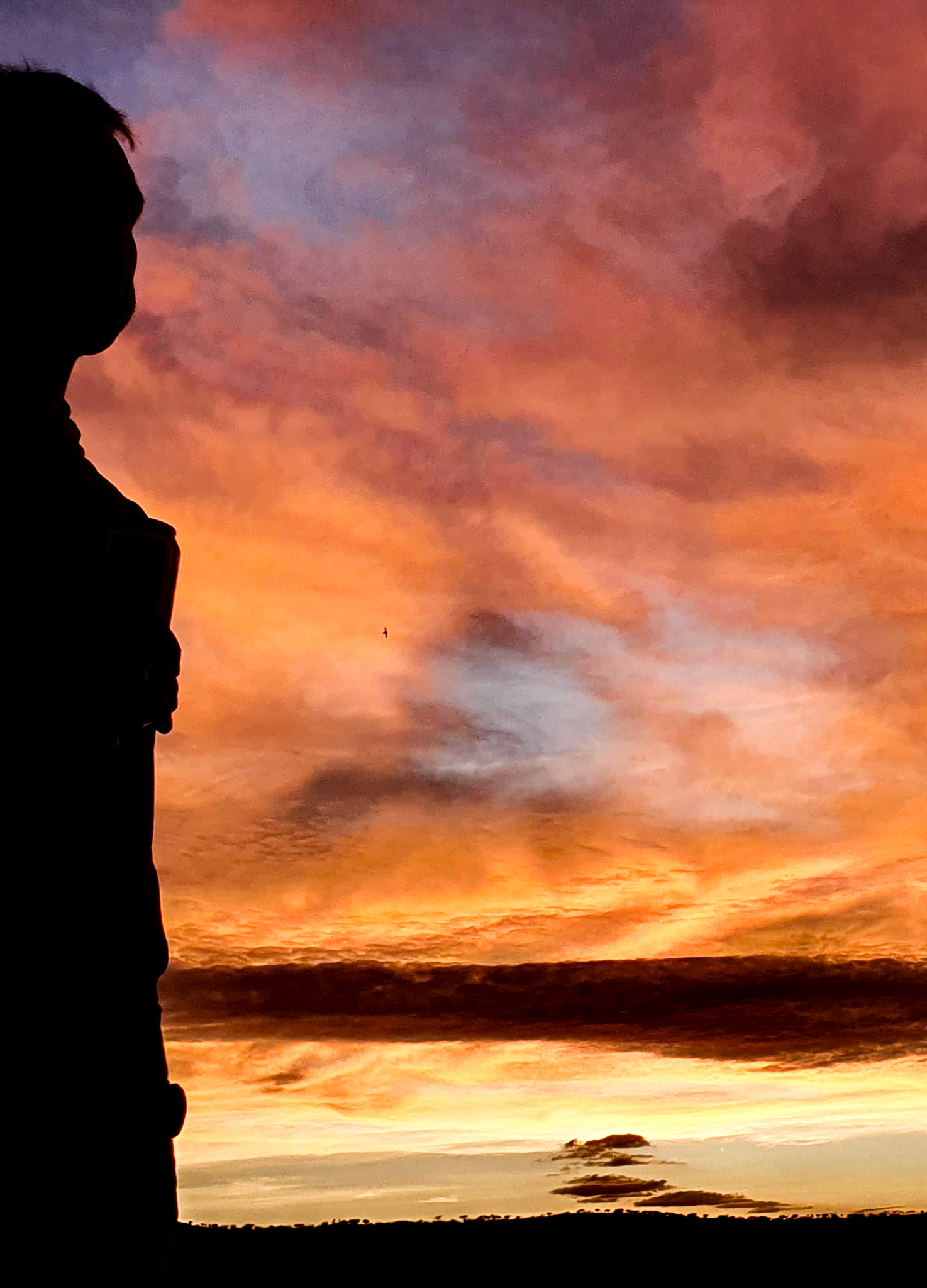 Person in Silhouette vor farbenprächtigem Sonnenuntergang im Khomashochland, Namibia