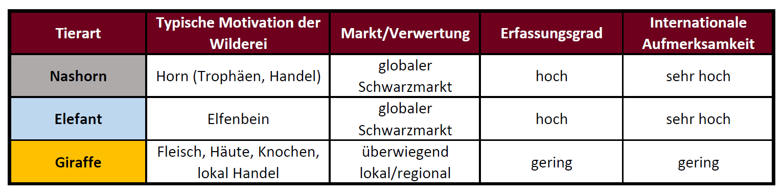 Vergleich der Wilderei nach Tierart: Nashorn, Elefant und Giraffe – Namibian Wildlife Foundation (NWF)