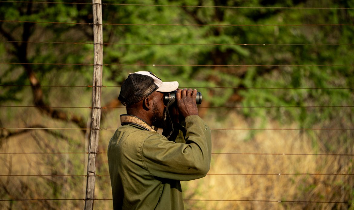 Wildhüter der Namibian Wildlife Foundation (NWF) blickt mit Fernglas über eine Schutzfläche in Namibia, um nach Wilderern Ausschau zu halten.