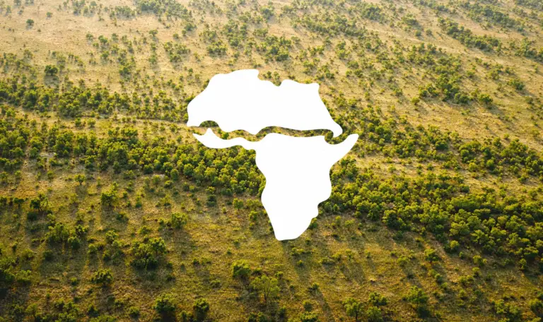 Luftaufnahme der Great Green Wall in Afrika mit Aufforstungsstreifen im Sahel und Afrika-Silhouette