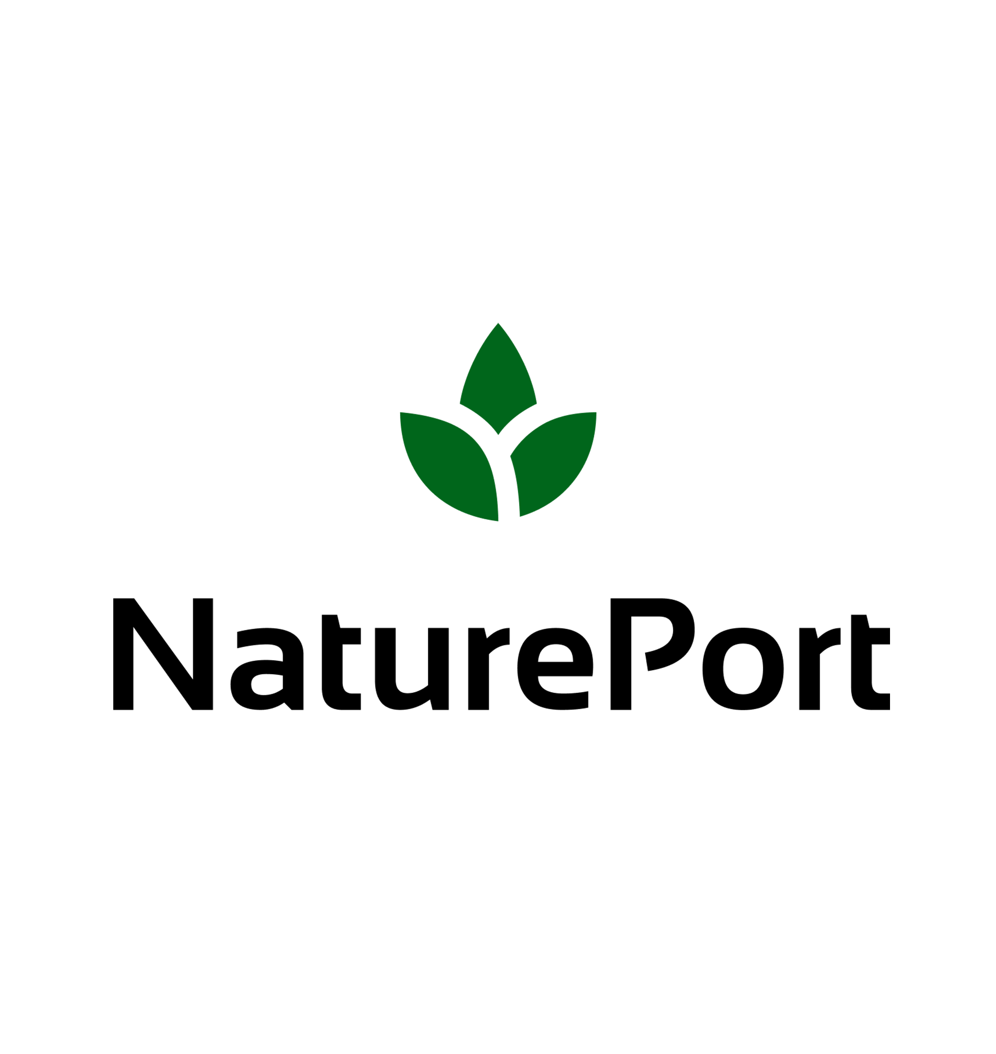 Logo von NaturePort, Kooperationspartner der Namibian Wildlife Foundation