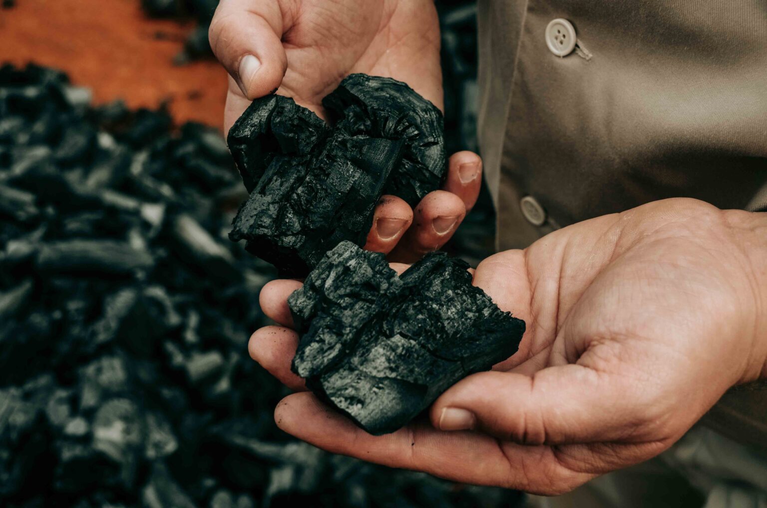 Hände halten Pflanzenkohle als Symbol für CO₂-Bindung, Bodenfruchtbarkeit und nachhaltigen Klimaschutz