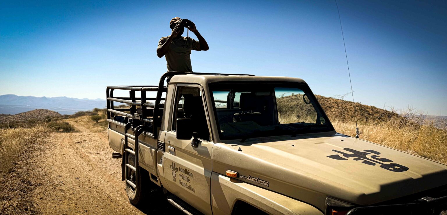 Ranger steht auf einem Pickup und beobachtet die Landschaft in Namibia als Symbolbild für Kooperation und Naturschutzpartnerschaften