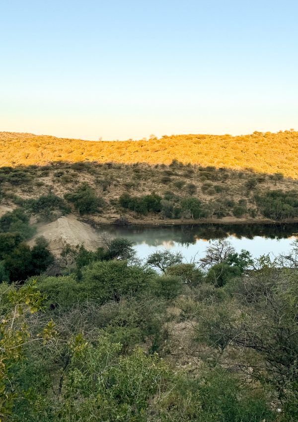 Damm im Khomashochland mit Wasserfläche, umgeben von Büschen und Hügellandschaft bei Sonnenuntergang