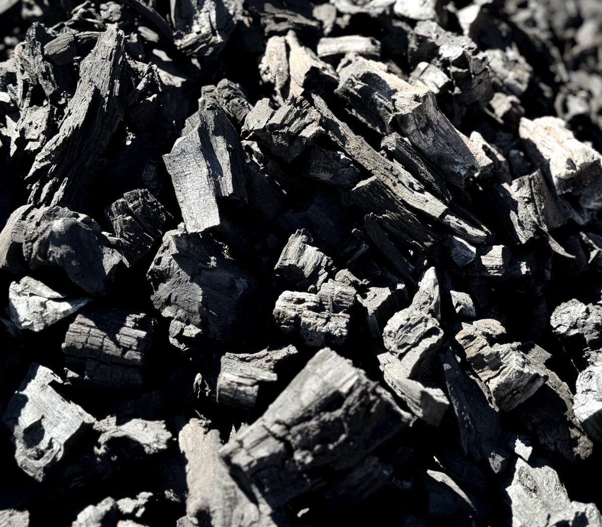 Frisch_hergestellte_Pflanzenkohle_Namibia Frisch hergestellte Pflanzenkohle aus Namibia in Nahaufnahme – CO₂-Bindung & Bodenverbesserung