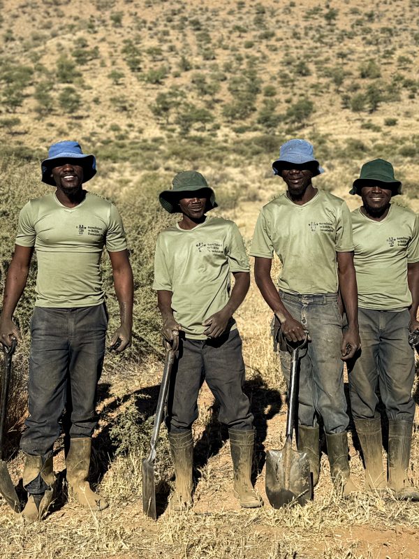 einpflanzteam_namibia_namibian_wildlife_foundation_ev Vier Mitarbeiter der Namibian Wildlife Foundation mit Schaufeln beim Bäumepflanzen im Khomashochland, Namibia