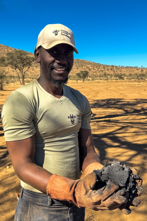 Mitarbeiter der Namibian Wildlife Foundation hält lächelnd Pflanzenkohle in den Händen vor trockener Landschaft in Namibia