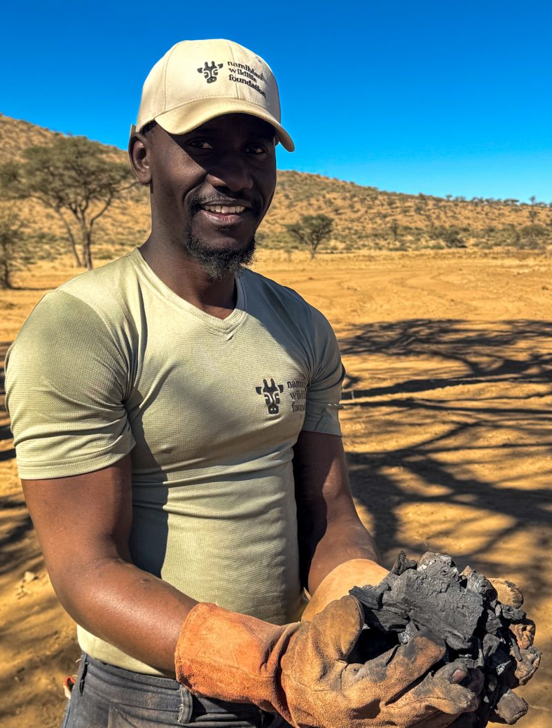 Mitarbeiter der Namibian Wildlife Foundation hält lächelnd Pflanzenkohle in den Händen vor trockener Landschaft in Namibia