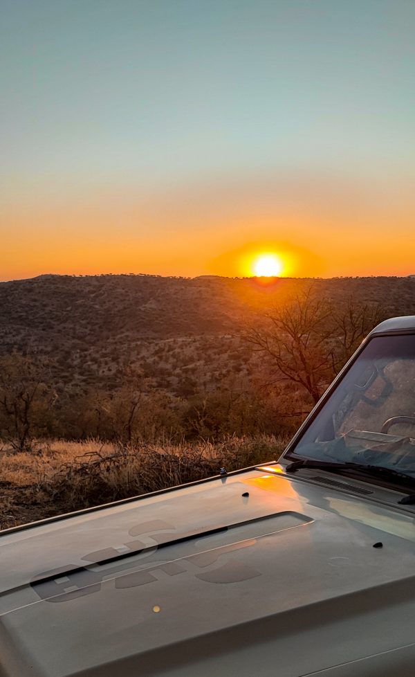 namibian_wildlife_foundation_ev_safari_fahrzeug_logo_sonnenuntergang Safari-Fahrzeug mit Logo der Namibian Wildlife Foundation im Sonnenuntergang über dem Khomashochland