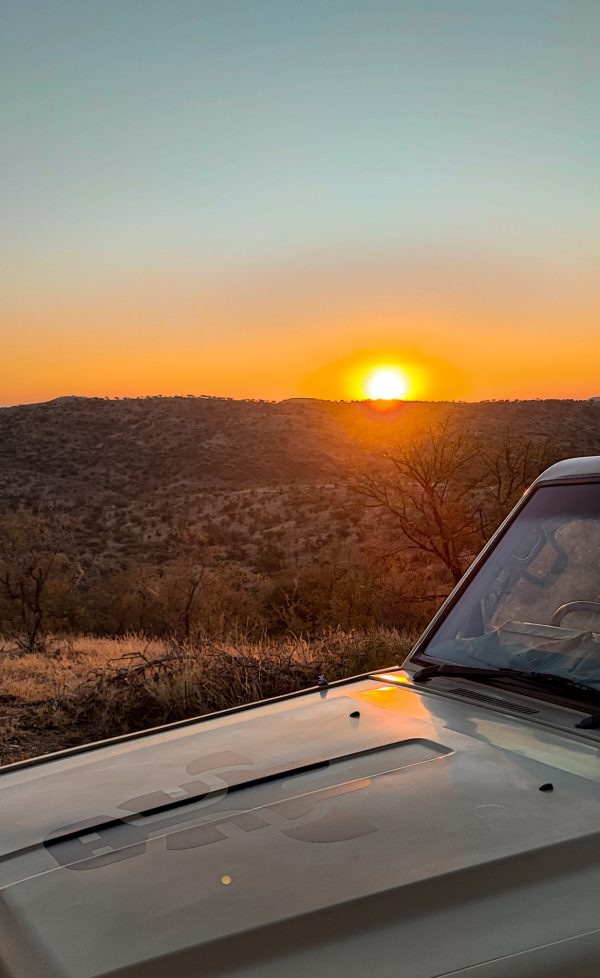Safari-Fahrzeug mit Logo der Namibian Wildlife Foundation (NWF) im Sonnenuntergang über dem Khomashochland